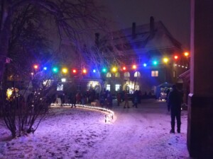 3. Altplauener Lichterglanz